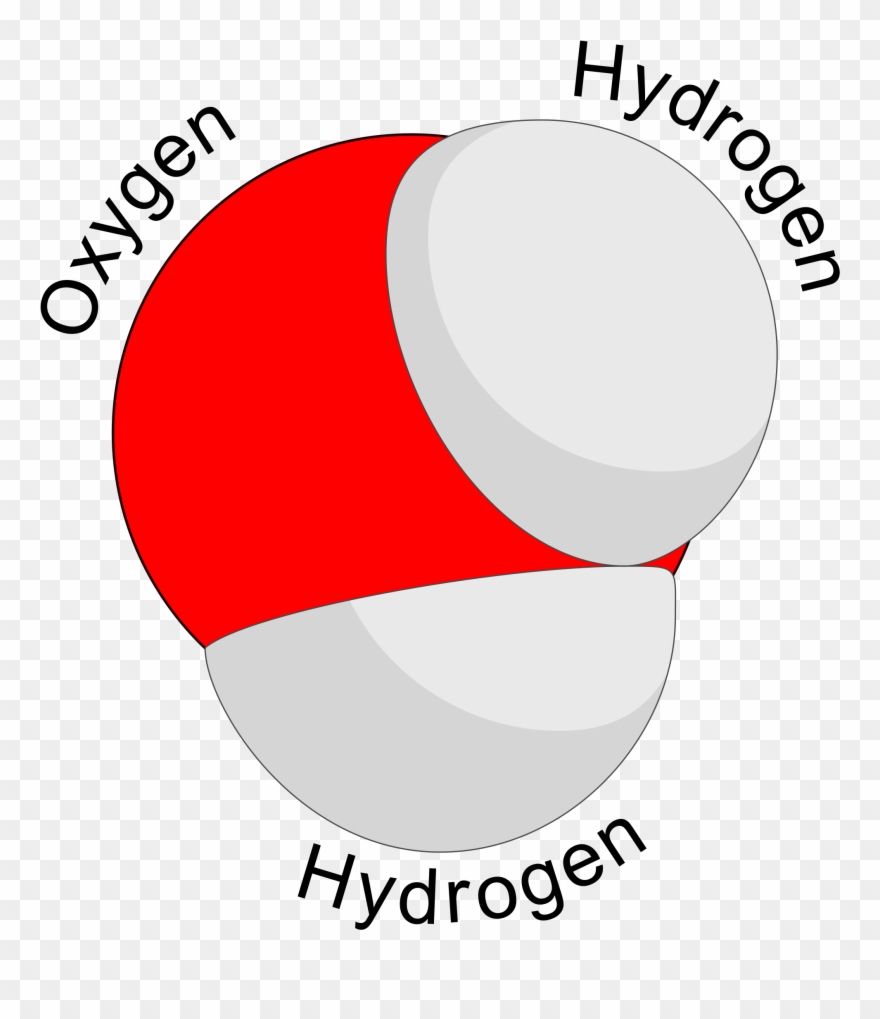 A Model Of A Water Molecule - Thick Water Molecule Clipart