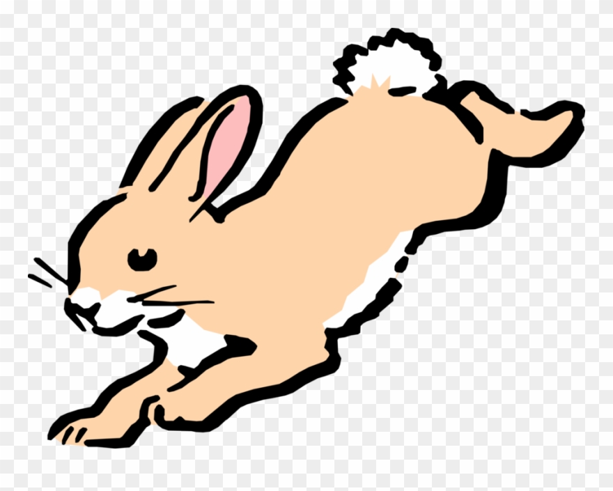 Cartoon Bunny Hops Image - Animals That Jump Clipart - Png Download