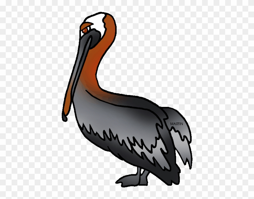 Louisiana State Bird Louisiana State Bird Clipart Png Download
