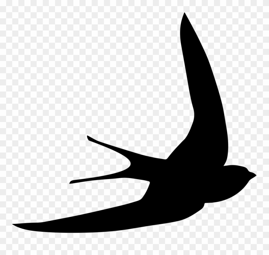 Svg Transparent Birds Svg Swift - Bird Svg Clipart