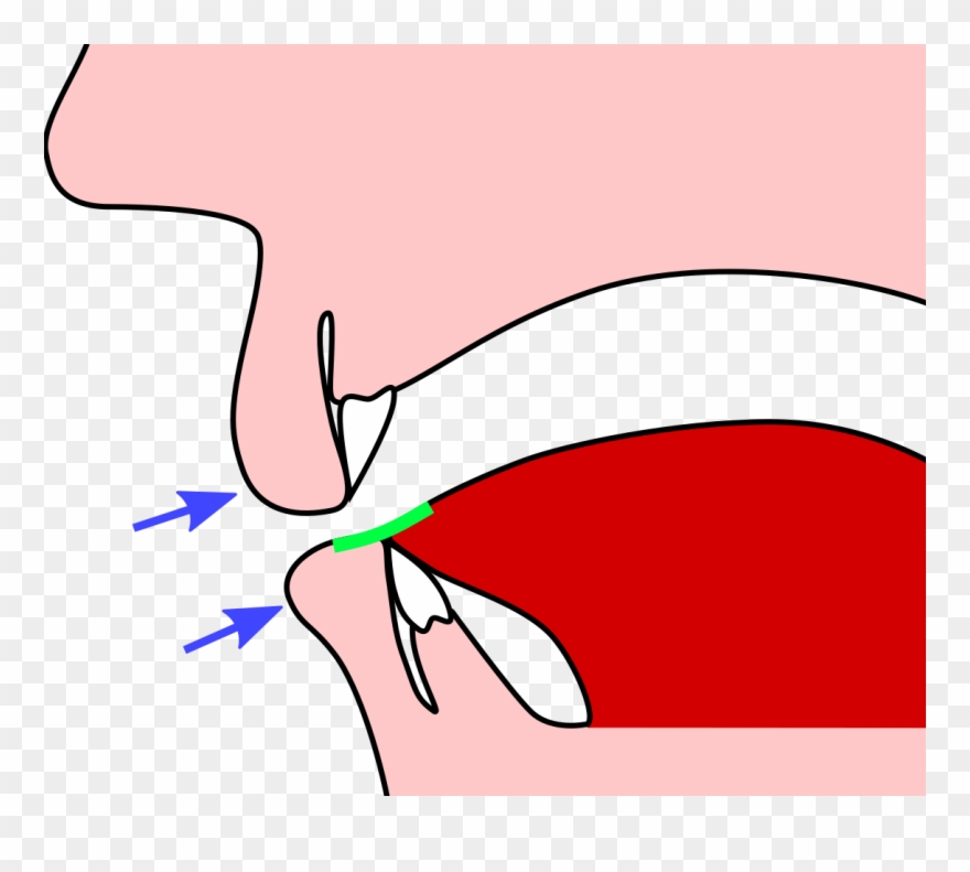 Form A Small Oval-shaped Aperture Between Your Lips - Clip Art - Png Download