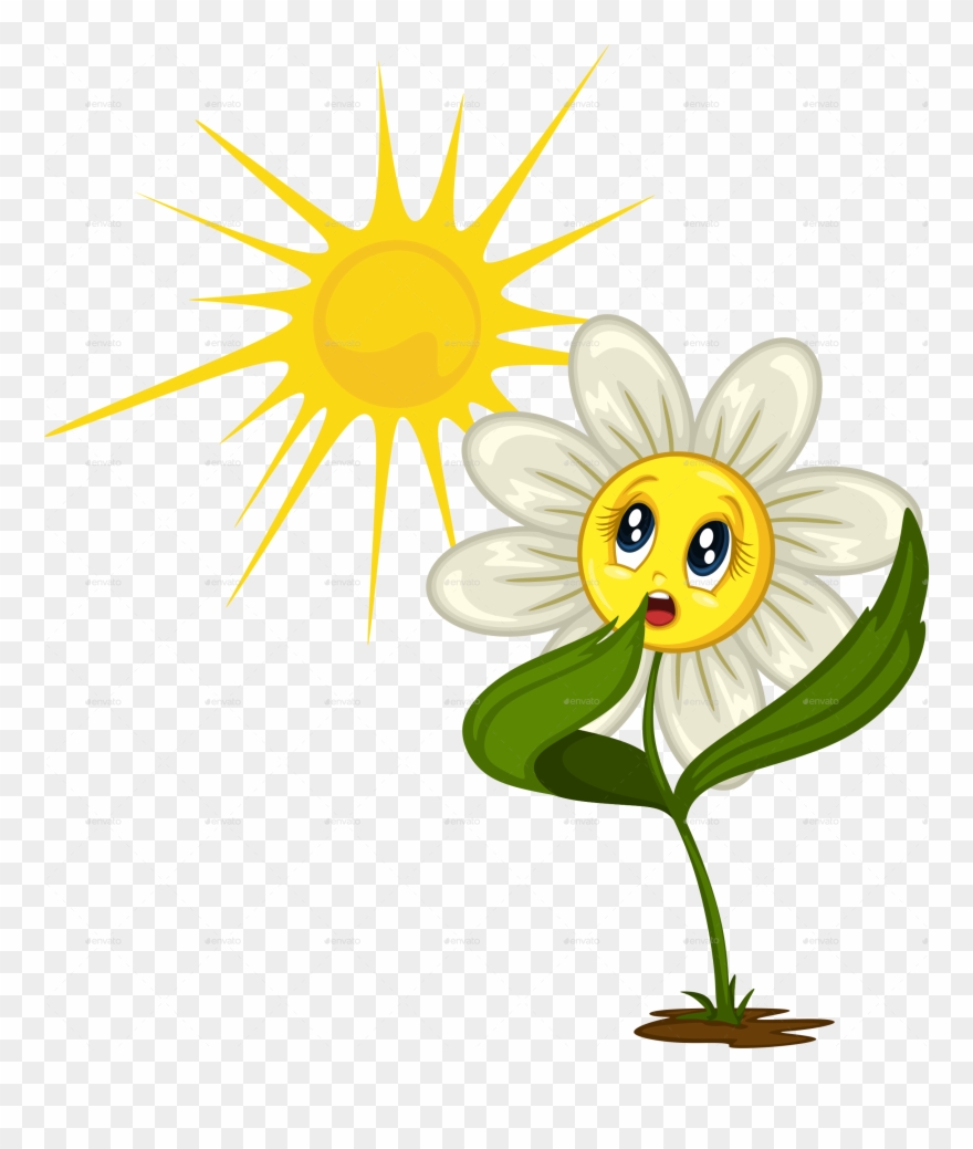 Cartoon Daisy Stickers For Different Situations - Daisy Flower Cartoon Clipart