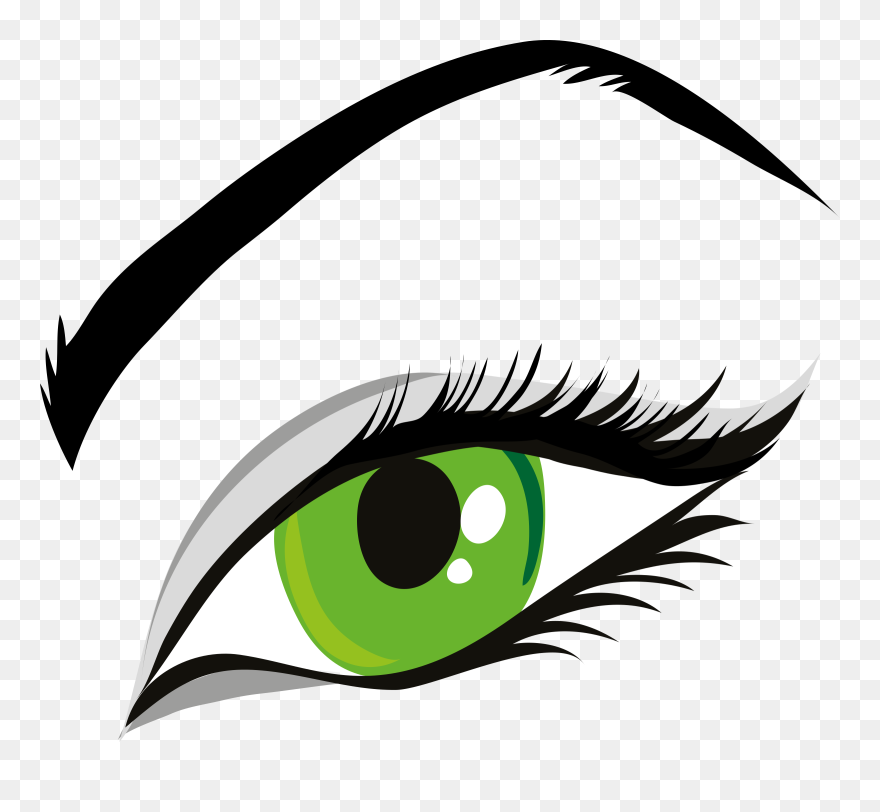 Eye Color Human Eye Iris Eyebrow - Eye Clip Art - Png Download