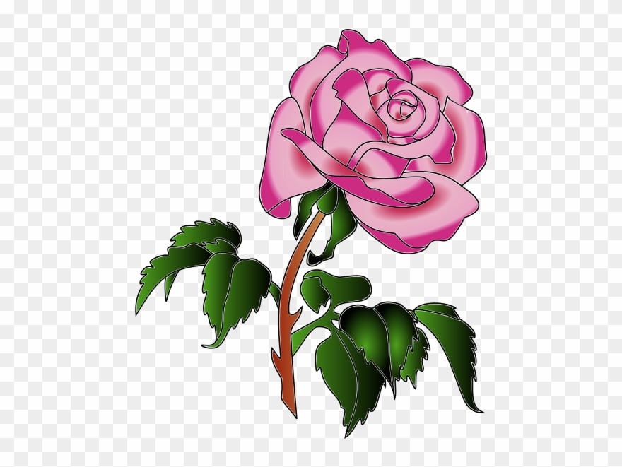 Rose In Colors Clip Art - Clip Art - Png Download