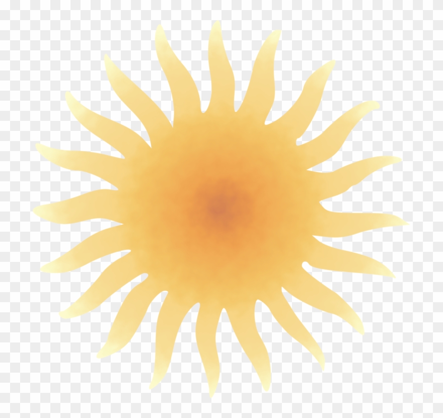 Sunflower M Symmetry - Clip Art - Png Download