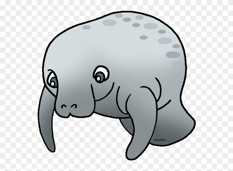 Manatee Cliparts Background - Clipart Transparent Manatee Gif - Png Download
