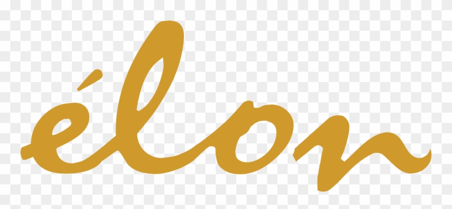 Hair Color Specialists - Beauty Clipart