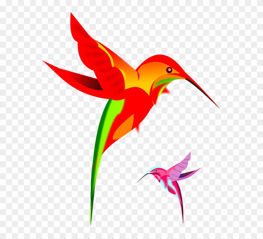 Hummingbird Png Image With Transparent Background - Bird Clip Art