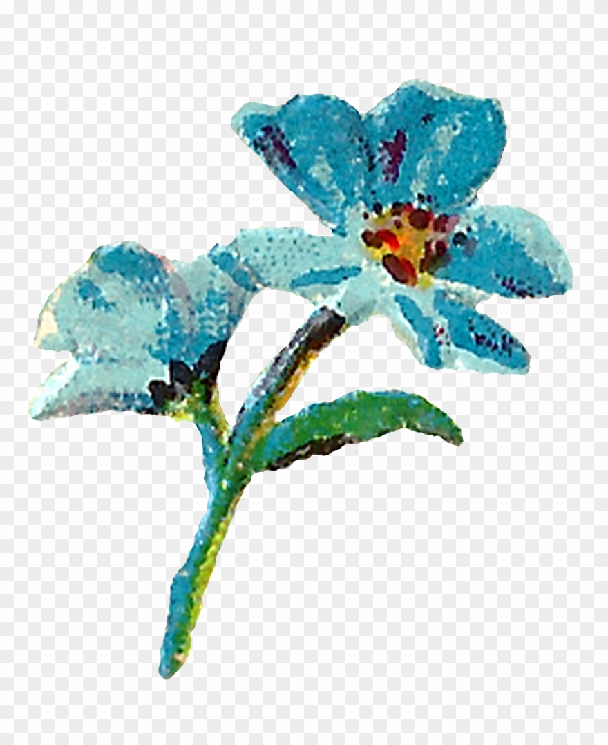 Pastel Floral Clipart Digital Flowers Pink Blue Image - Blue Watercolor Floral Clipart - Png Download