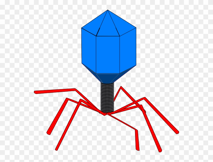 Clip Art At Clker - Virus Clipart - Png Download