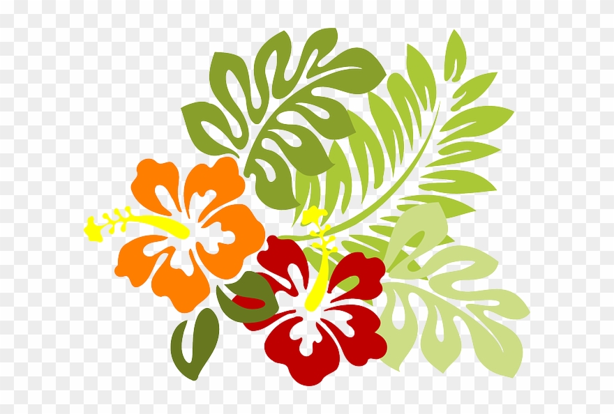 Vectores De Hojas Tropicales - Hibiscus Clip Art - Png Download