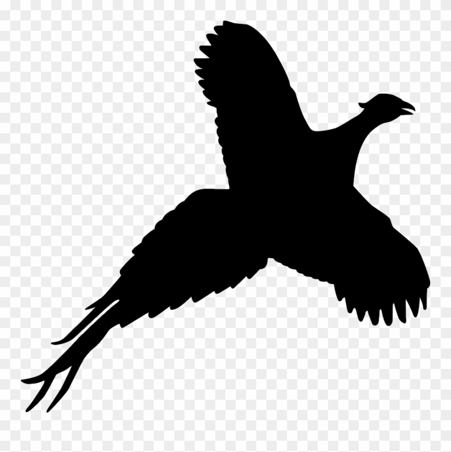 Pheasant Flying Silhouette Transparent Background - Pheasant Silhouette Clip Art - Png Download