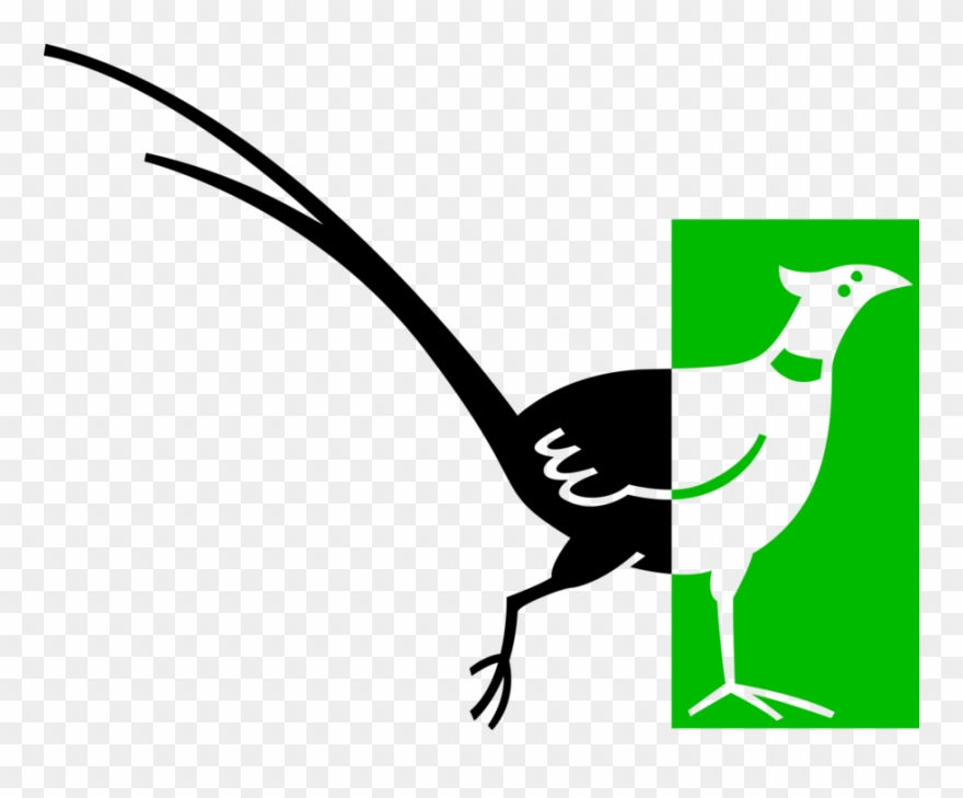 Vector Illustration Of Brightly Colored Pheasant Bird - Pheasant Clip Art - Png Download