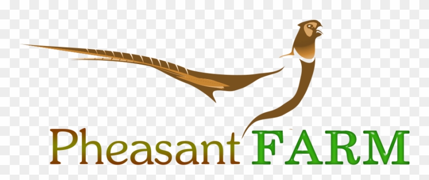 Pheasant Logo Clipart