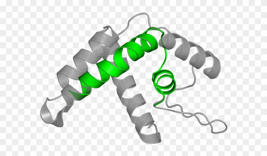 Illustration Clipart