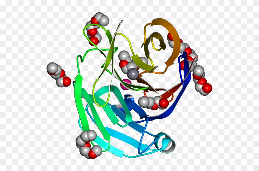 No Rotation Molmil Generated Image Of 4wxq - Illustration Clipart