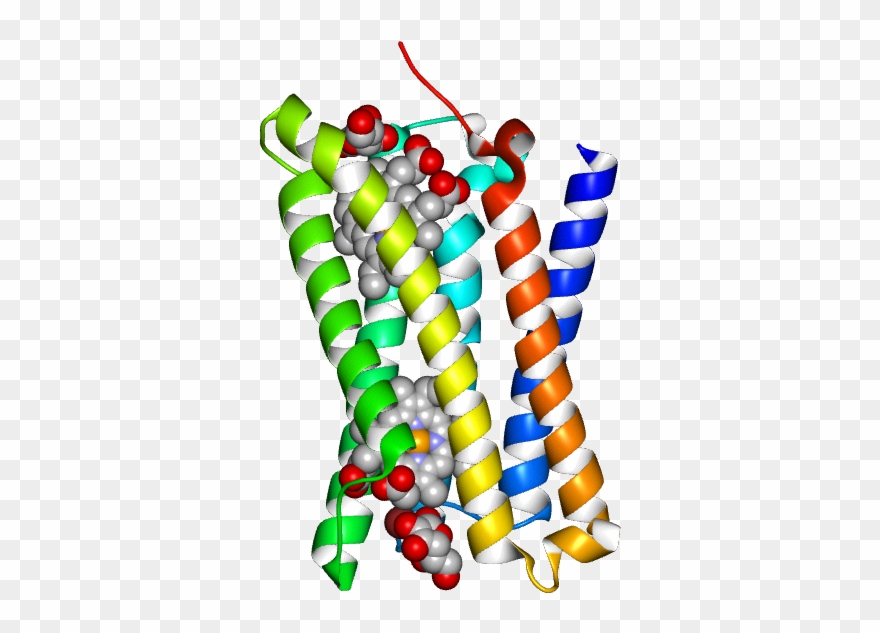 Molmil Generated Image Of 5zlg - Graphic Design Clipart