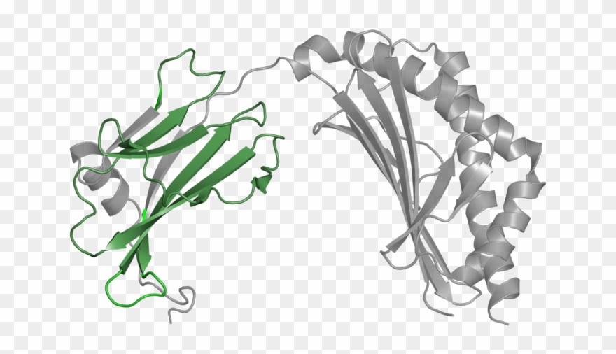 Illustration Clipart