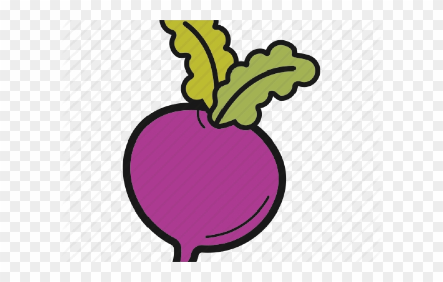 Turnip Clip Art - Png Download