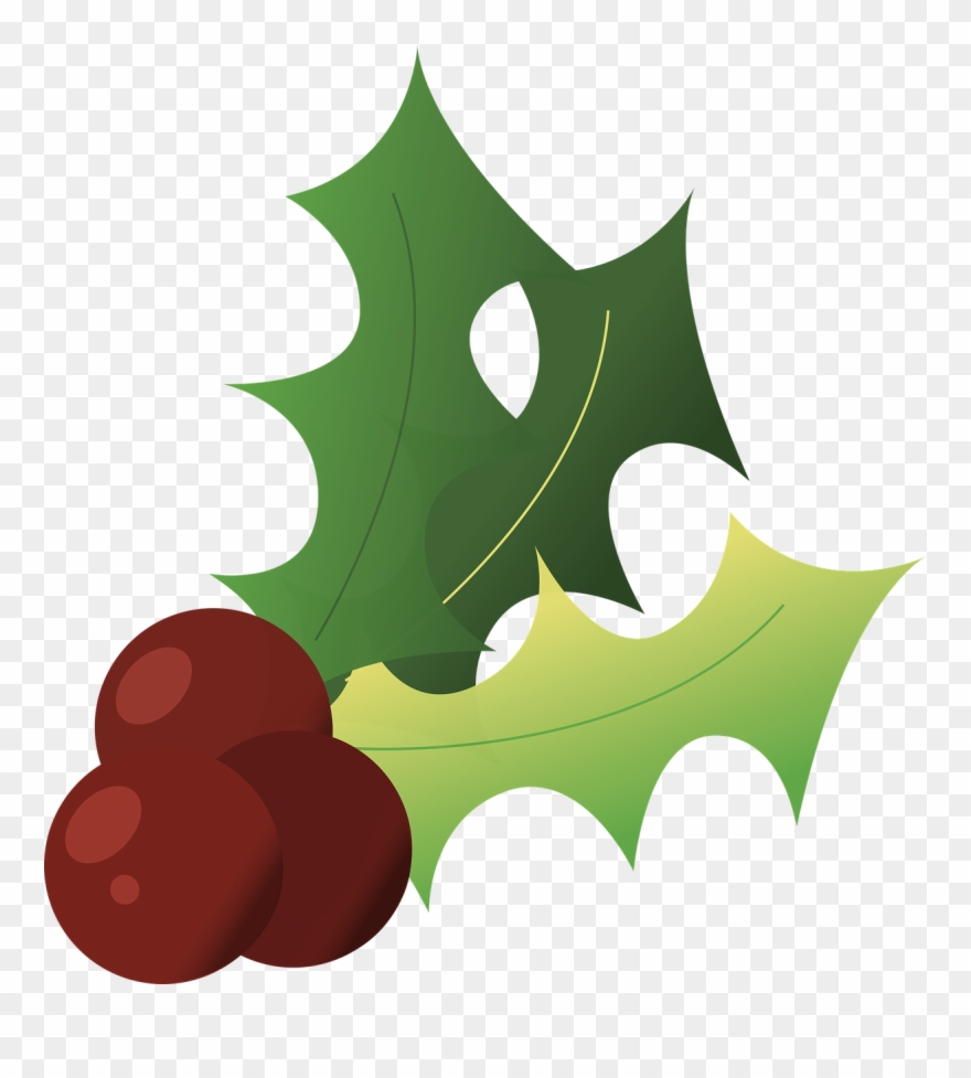 Holly Christmas Winter - Acebo Navidad Fondo Blanco Gratis Clipart