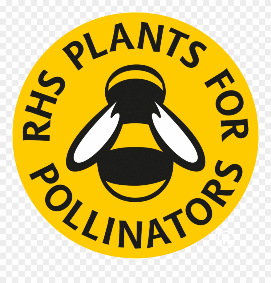 Cornfield Annual Mixture 44 P5bekm5d600x3725bekm5d - Plants For Pollinators Logo Clipart