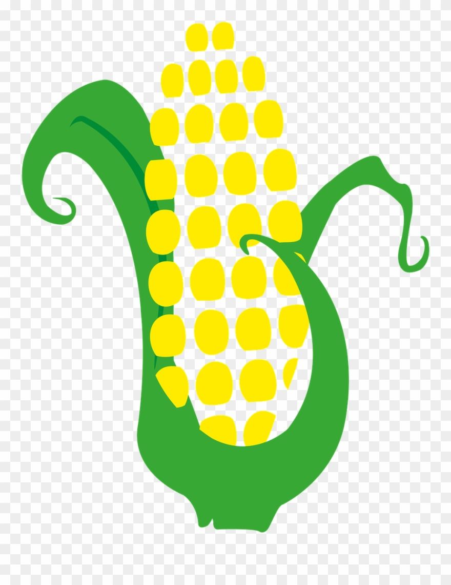 Corn Cob Harvest - Mazorca De Maiz Png Clipart