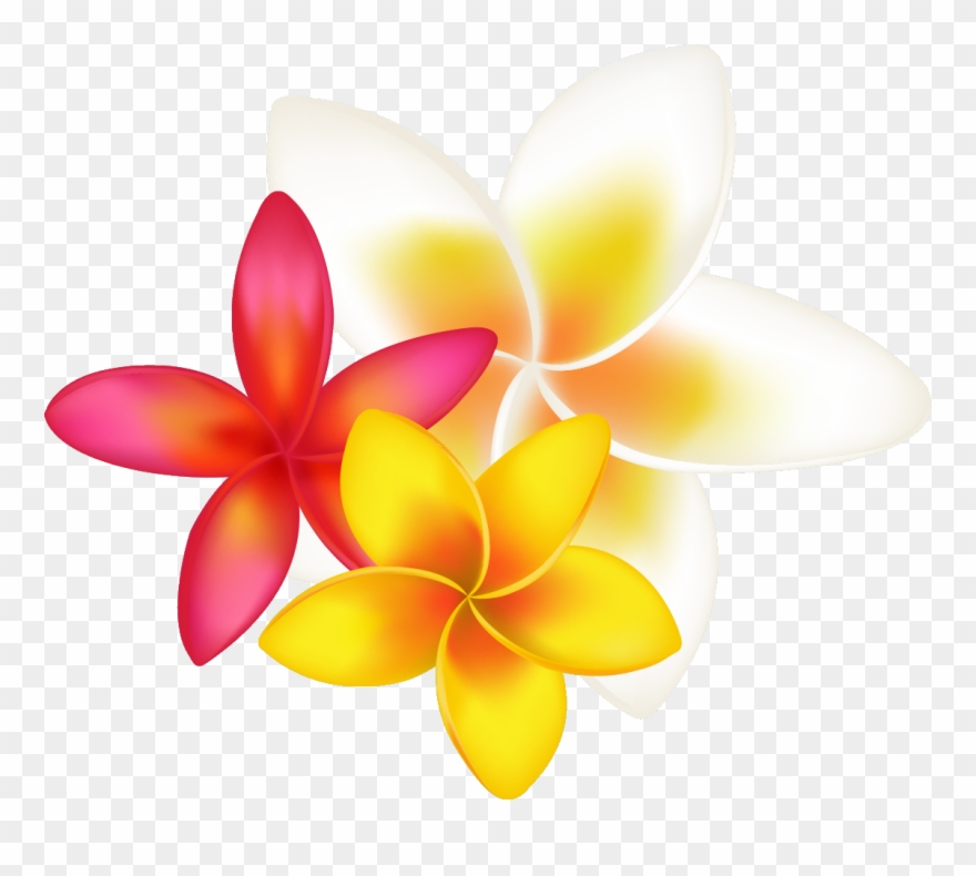 Ftestickers Sticker - Tropical Flower Clipart Png Transparent Png