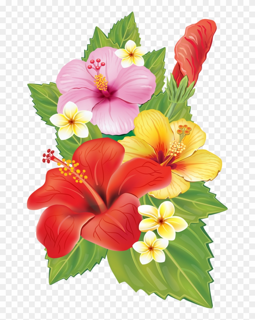 Cc Ca Da F Xxxl Png - Yellow Hibiscus Shower Curtain Clipart