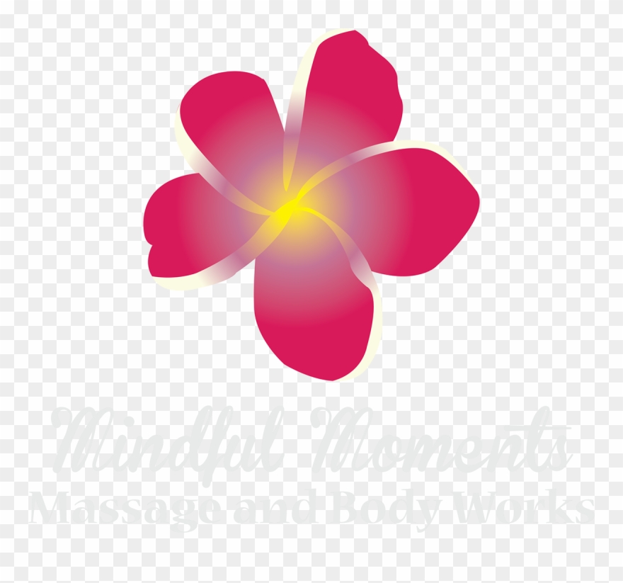 Option - Postcard Clipart