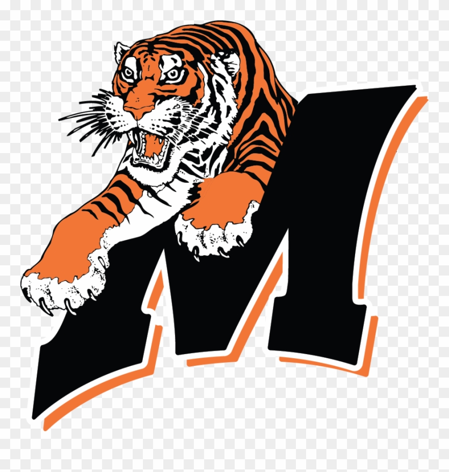 Marshfield Tigers Clipart