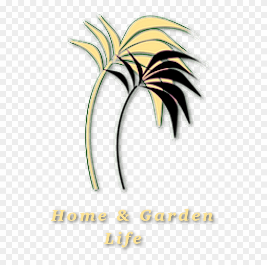 Graphic Design Clipart