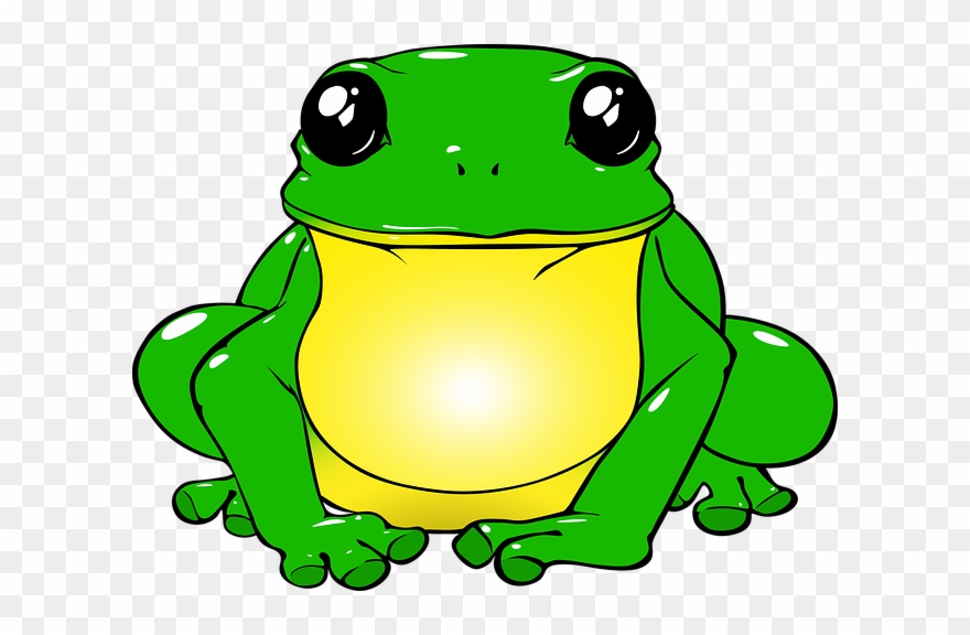 Imagen De Un Sapo Animado Clipart
