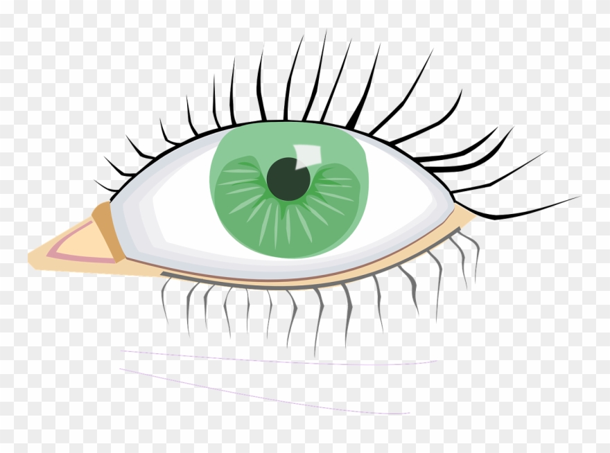 Macular Degeneration Association Dividend - Eye Clip Art - Png Download