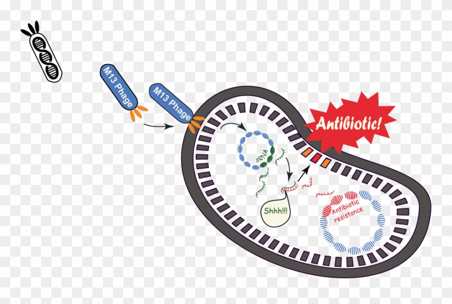 Shhh Clipart Silence - Trojan Horse Antibiotics - Png Download