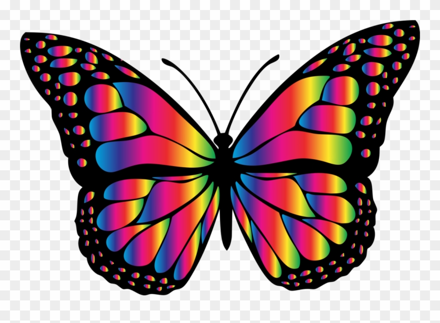 Monarch Butterfly Insect Animal Chrissy's Wish Memorial - Big Picture Of Butterfly Clipart