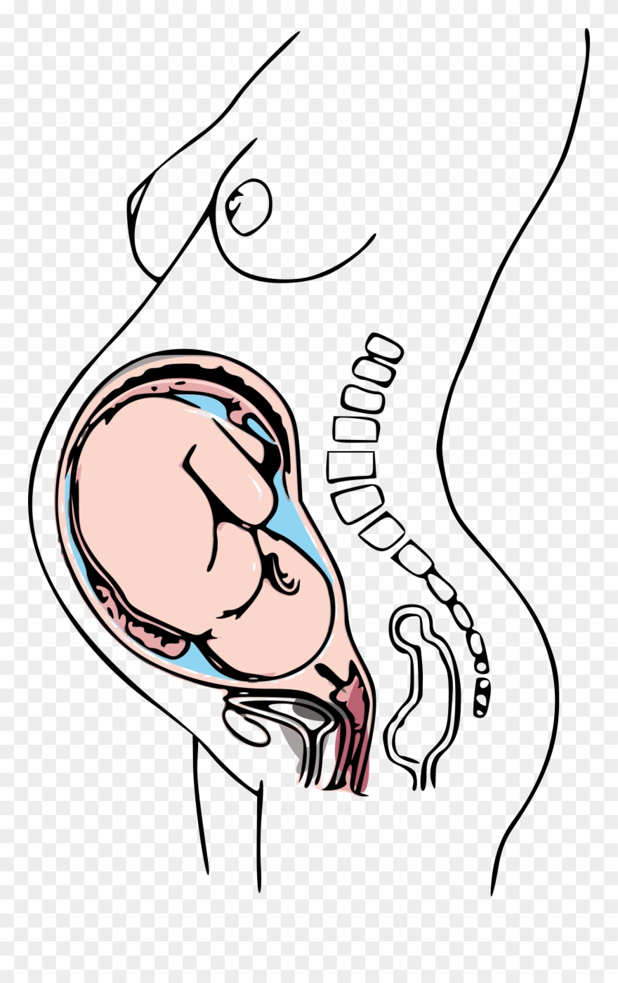Big Image - Pregnancy Public Domain Clipart