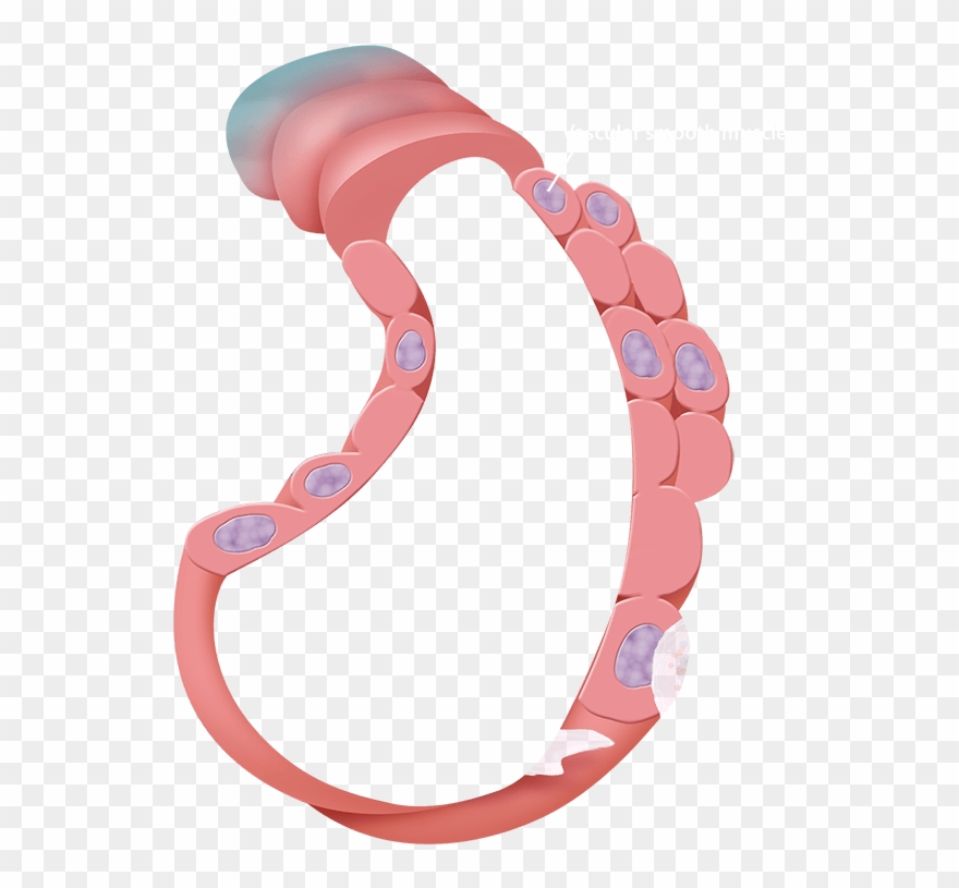 Scroll Down To Start The Tour - Tissue Clipart