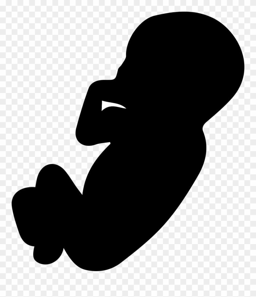 Embryo Silhouette Clipart