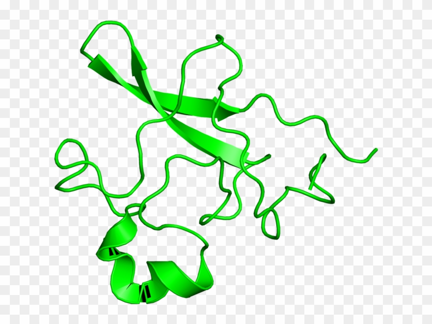 Illustration Clipart