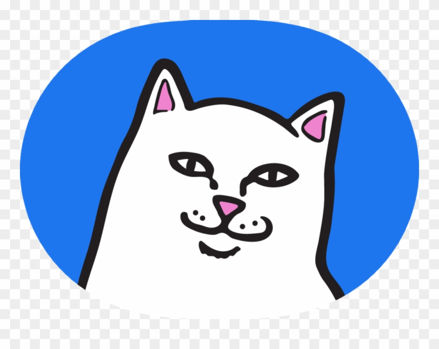 Clip Art Royalty Free Ripndip Logos Stickers - Rip N Dip Stickers - Png Download