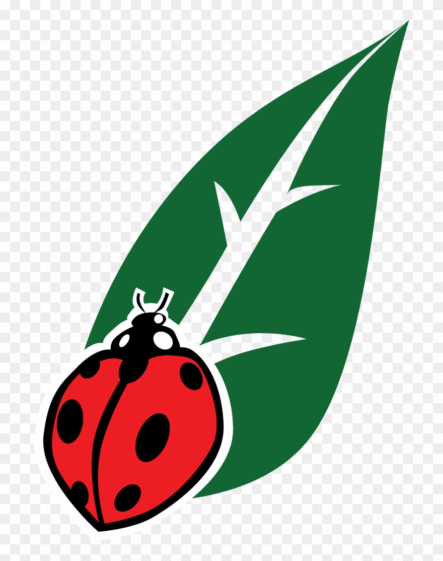 Qic Cannabis Qic Cannabis - Cannabis Clipart