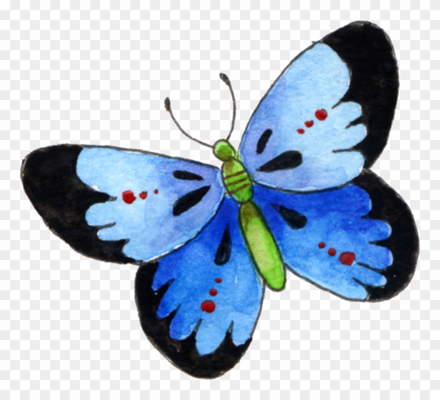 Image Du Blog Zezete2 - Lepidoptera Clipart