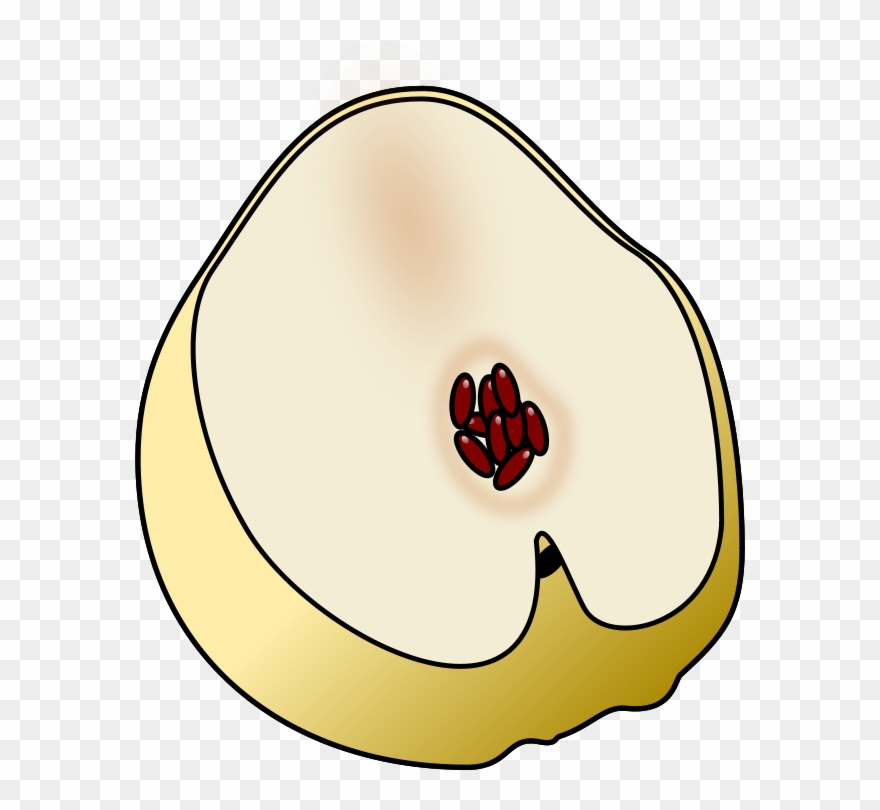 Get Notified Of Exclusive Freebies - Illustration Clipart