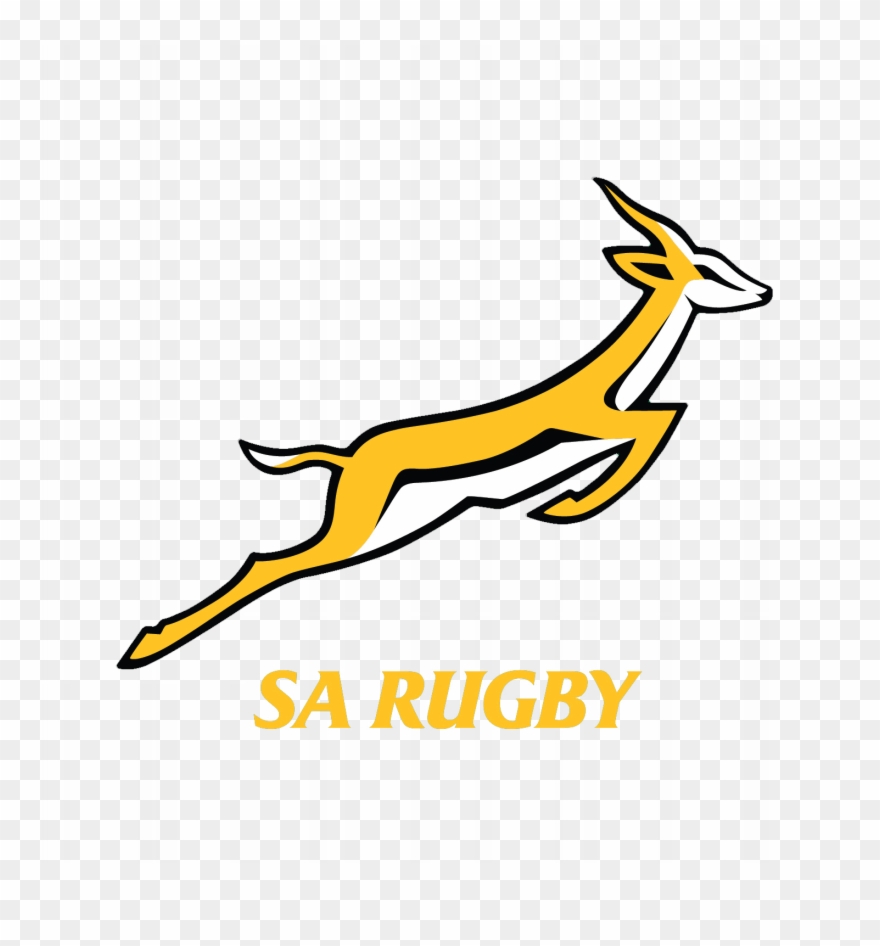 Logo Rug Horizontale Variant Voorkeursvariant Logo - Springbok Rugby Logo Png Clipart