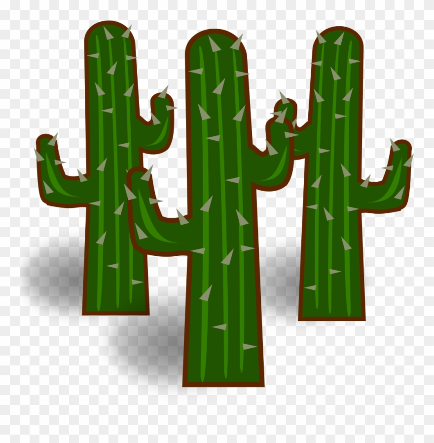 Medium Image - Transparent Background Cactus Clipart - Png Download