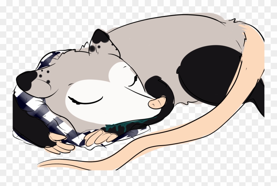 Possum Queen <3 « Older - Sleep Clipart