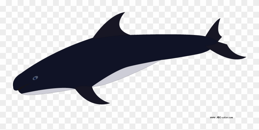 Clipart Shark Bitmap - Killer Whale - Png Download
