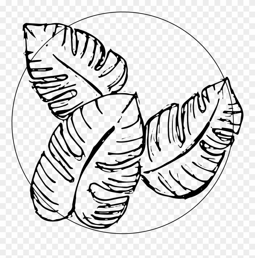 Helena Alexis' Romantic Maui Waterfall Wedding - Maui Clipart