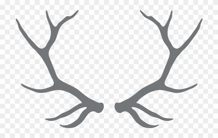 Clipart Free Download Antlers Transparent Black And - Harry Potter Deer Always - Png Download