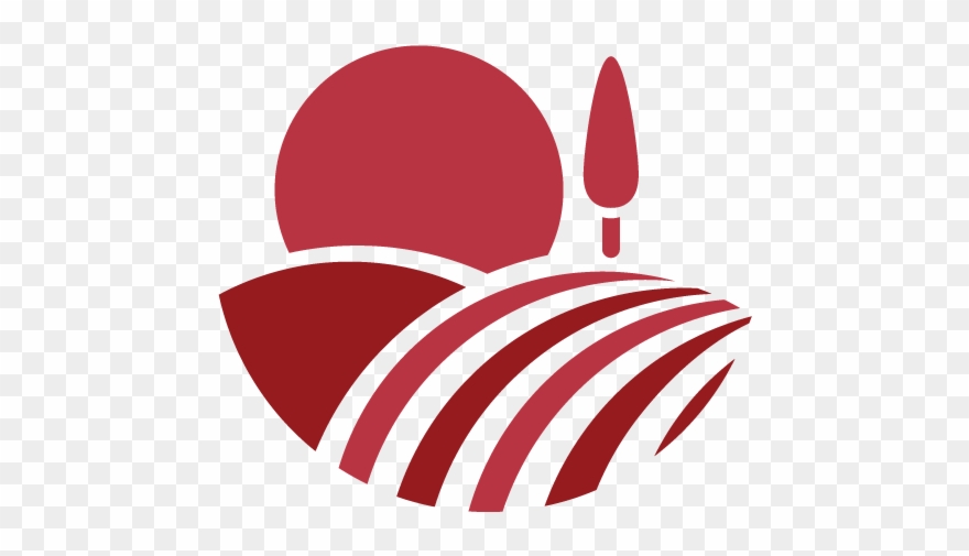 We're Promoting The Market Demand For Sustainable Spices - Agro Cruz Clipart